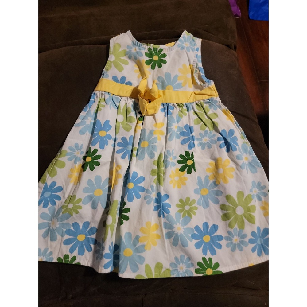 Crazy 8 garden cutie daisy spring Easter dress size 12 18 months